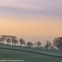 Buy canvas prints of Spring dawn, Woodhouse Eaves by Bill Allsopp