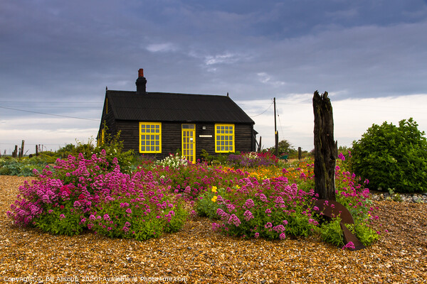 Prospect Cottage. Picture Board by Bill Allsopp