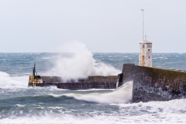 Storm at Seahouses Picture Board by Bill Allsopp