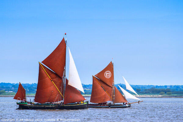 Thames sailing barges Picture Board by Bill Allsopp