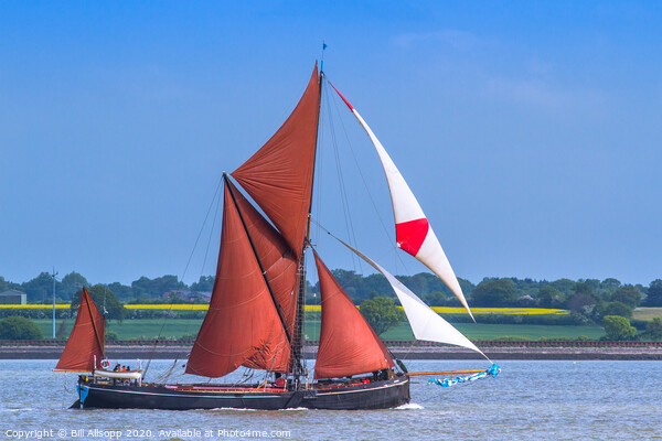 Thames Barge Adieu. Picture Board by Bill Allsopp