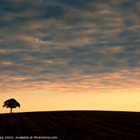 Buy canvas prints of Lone tree at sunrise. by Bill Allsopp
