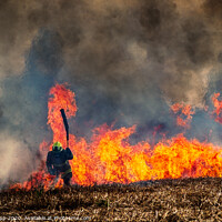 Buy canvas prints of Fire! by Bill Allsopp