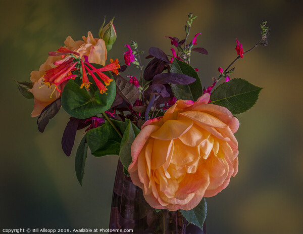 The flowers of spring. Picture Board by Bill Allsopp