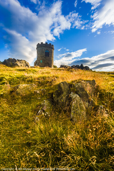 Charnwood Folly. Picture Board by Bill Allsopp