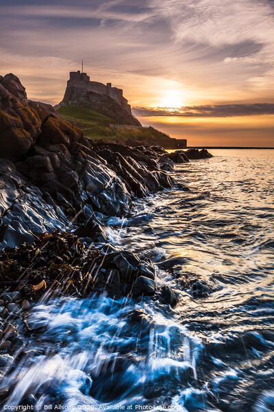 Lindisfarne castle at dawn Picture Board by Bill Allsopp
