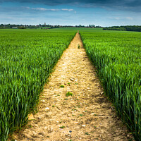Buy canvas prints of A Long Walk to Nailstone. by Bill Allsopp