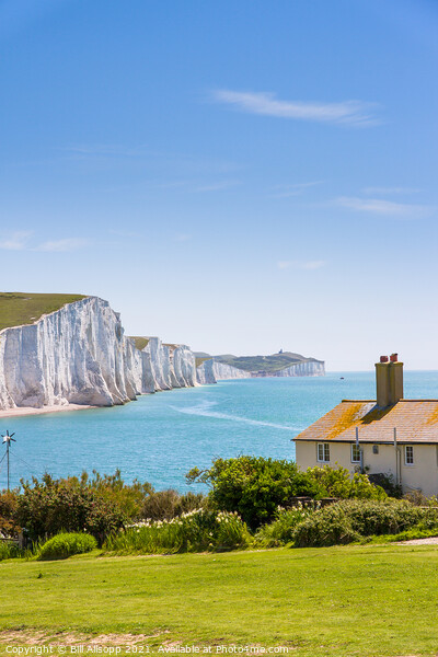 The Seven Sisters and Coastguard Cottages Picture Board by Bill Allsopp