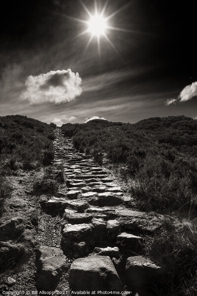 Stairway to heaven. Picture Board by Bill Allsopp