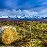 Buy canvas prints of The Cuillins by Bill Allsopp