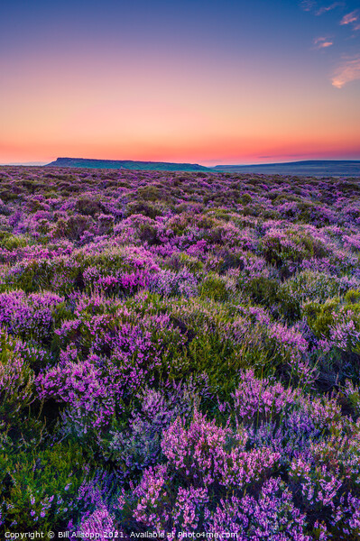 Sunset on the moor. Picture Board by Bill Allsopp