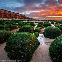 Buy canvas prints of Boulders on the beach. by Bill Allsopp