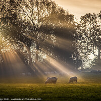 Buy canvas prints of A new day's rays #2 by Bill Allsopp