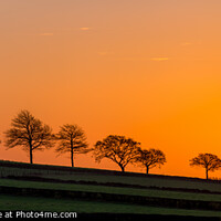 Buy canvas prints of Sunrise in Charnwood Forest. by Bill Allsopp