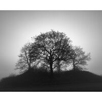 Buy canvas prints of Round the copse triptych. by Bill Allsopp
