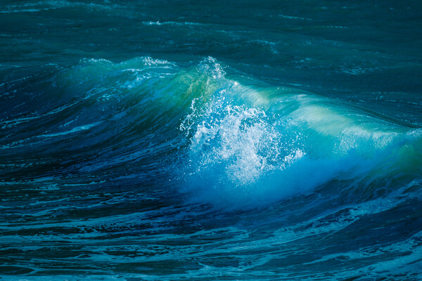 Breaking wave on the Cornish Coast. Picture Board by Bill Allsopp