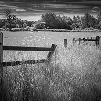 Buy canvas prints of The old fence. by Bill Allsopp