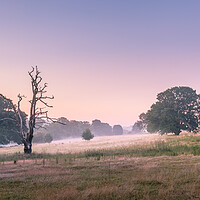 Buy canvas prints of Mist in the meadow. by Bill Allsopp