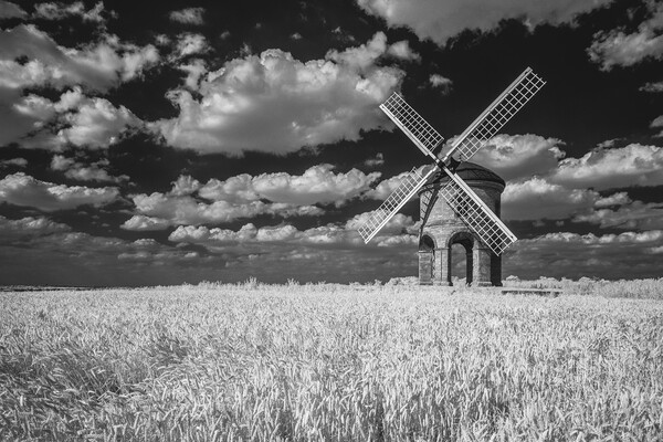Chesterton Windmill. Picture Board by Bill Allsopp