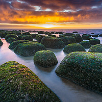 Buy canvas prints of Boulders on the beach by Bill Allsopp