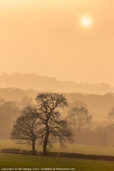 Misty sunset. Picture Board by Bill Allsopp