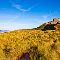 Buy canvas prints of Bamburgh castle  by Bill Allsopp