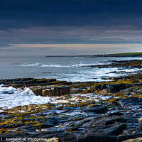 Buy canvas prints of The rocky Northumberland coast. by Bill Allsopp