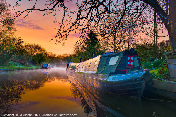 Canal dawn. Picture Board by Bill Allsopp