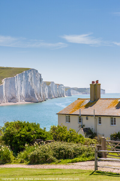 The Seven Sisters and Coastguard Cottages Picture Board by Bill Allsopp