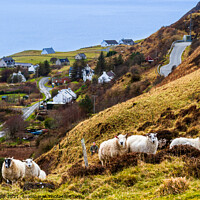 Buy canvas prints of The flock by Bill Allsopp