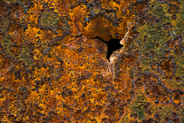 Rusty. Picture Board by Bill Allsopp