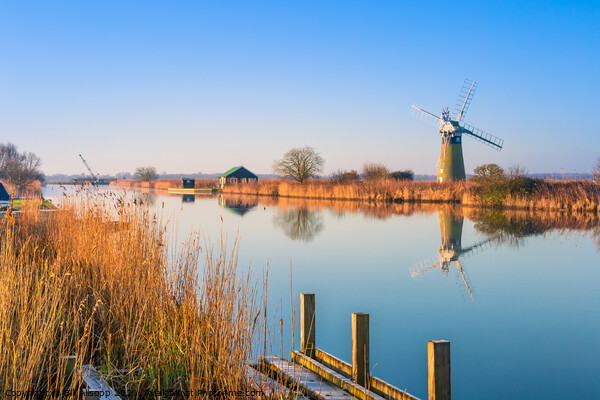 Morning twilight at Thurne Picture Board by Bill Allsopp