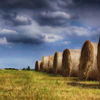 Buy canvas prints of  Haystack Rolls by Tracy Brown-Percival
