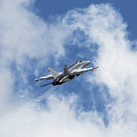 Buy canvas prints of F18 Hornet by Lee Milner