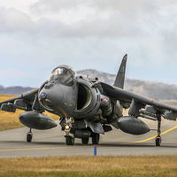 Buy canvas prints of RAF Harrier by Steve Morris