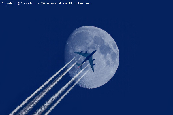 Fly Me To The Moon Picture Board by Steve Morris