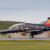 Buy canvas prints of Centenary Hawk Touchdown by Steve Morris