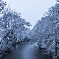 Buy canvas prints of Winter Wonderland by Steve Morris