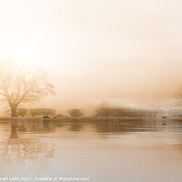 Buy canvas prints of Rural misty Norfolk landscape with water reflections by Simon Bratt LRPS