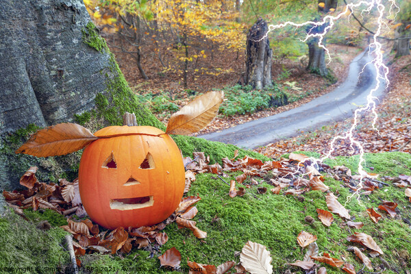 Scary halloween pumpkin alive in the woods Picture Board by Simon Bratt LRPS