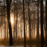 Buy canvas prints of Winter forest at sunrise with mist and fog by Simon Bratt LRPS