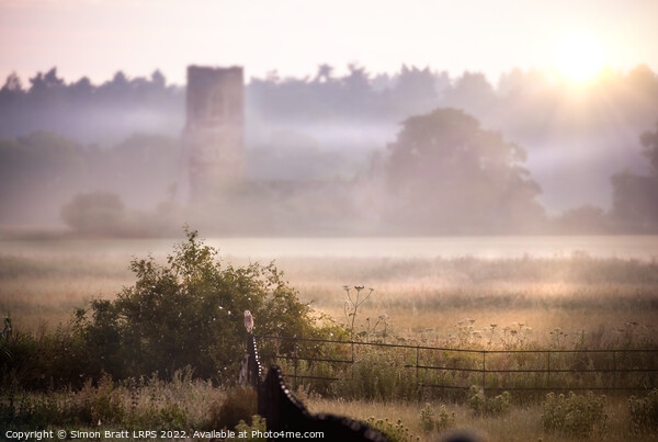 View from Castle Rising in Norfolk uk with barn owl Picture Board by Simon Bratt LRPS
