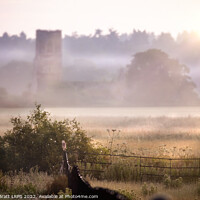 Buy canvas prints of View from Castle Rising in Norfolk uk with barn owl by Simon Bratt LRPS