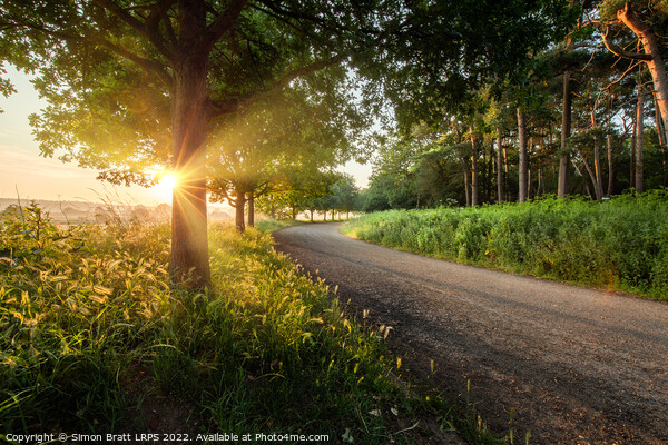 Dawn sunrise along a Norfolk rural road with trees Picture Board by Simon Bratt LRPS