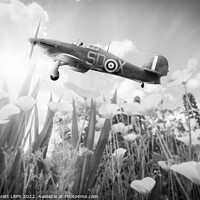 Buy canvas prints of Hawker Hurricane flying over poppies in spring by Simon Bratt LRPS