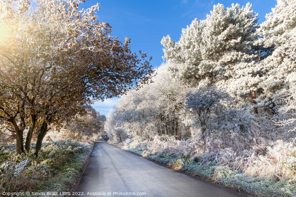 Winter rural road with frozen ice trees Picture Board by Simon Bratt LRPS