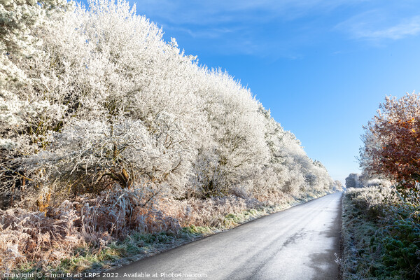 Amazing frozen trees on rural icy UK road Picture Board by Simon Bratt LRPS