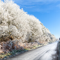 Buy canvas prints of Amazing frozen trees on rural icy UK road by Simon Bratt LRPS