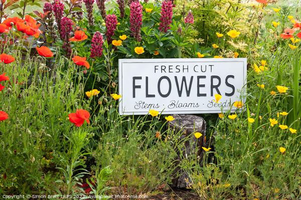 Garden flowers with fresh cut flower sign 0771 Picture Board by Simon Bratt LRPS
