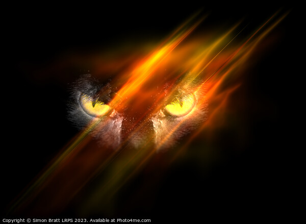 Evil animal eyes in the darkness with fire Picture Board by Simon Bratt LRPS